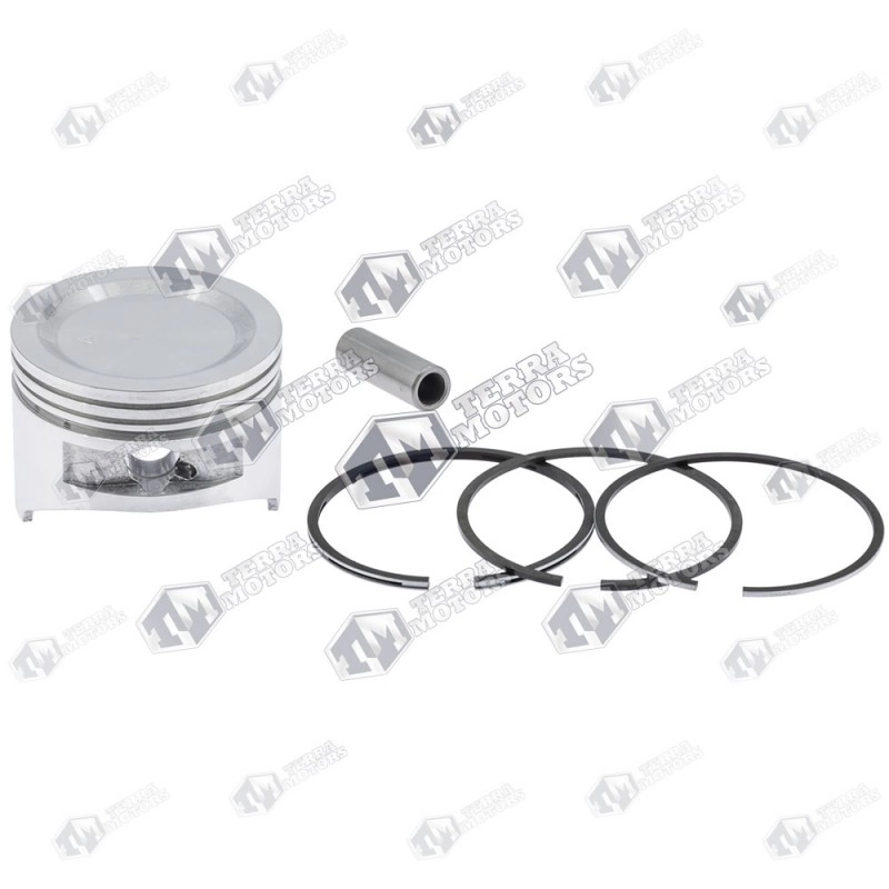 Kit piston Honda GCV 135, GCV 160 64mm (Terra)
